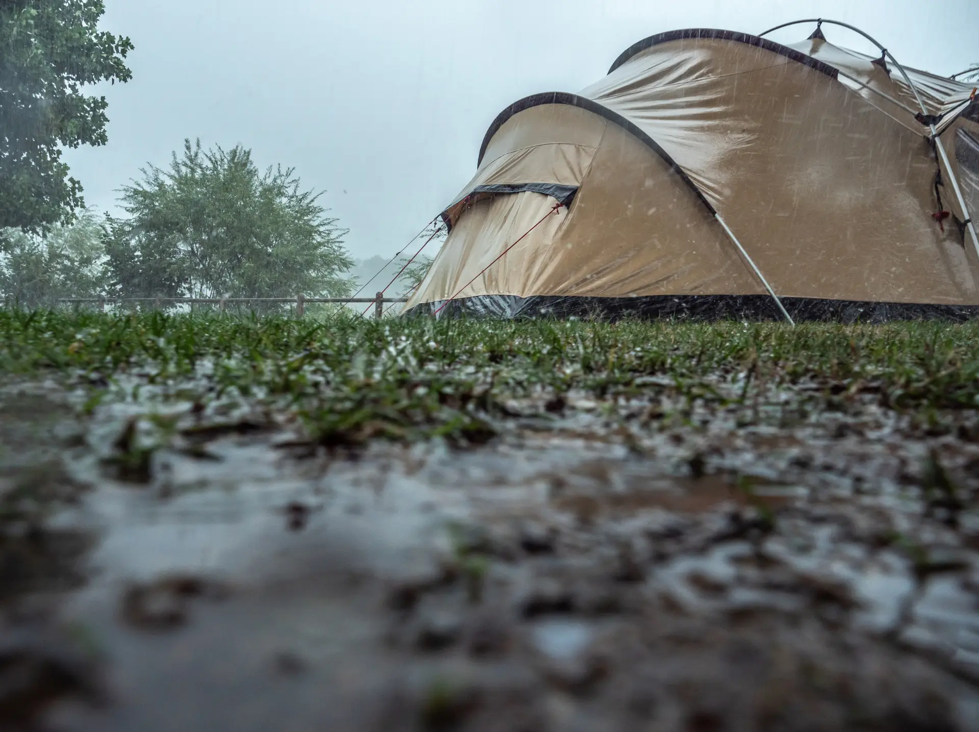 De vakantie is voorbij, we zijn er weer klaar voor